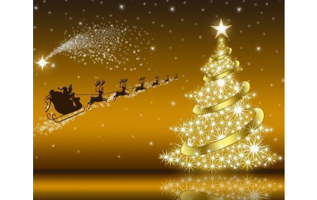 Bonnes fêtes de fin d'année