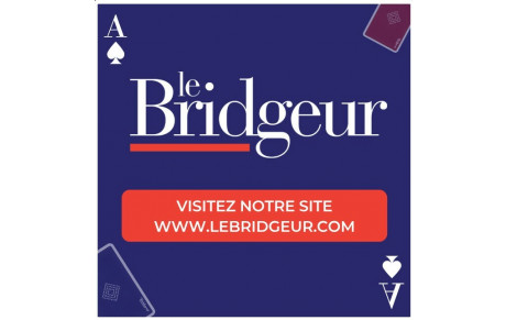 Le Bridgeur